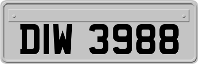 DIW3988