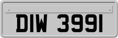 DIW3991