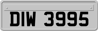 DIW3995