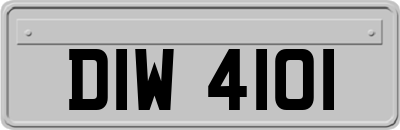 DIW4101