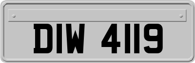 DIW4119