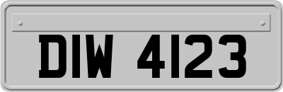 DIW4123