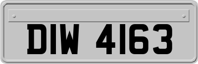DIW4163