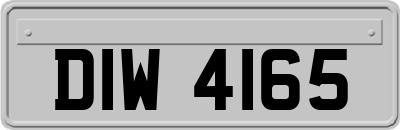 DIW4165