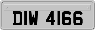 DIW4166