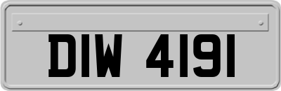 DIW4191