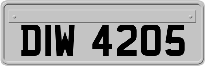 DIW4205