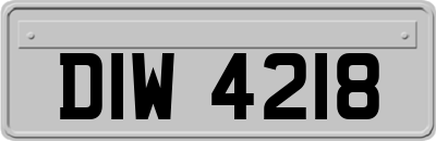 DIW4218