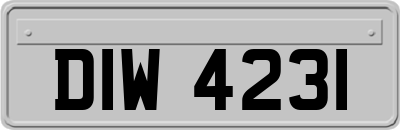 DIW4231