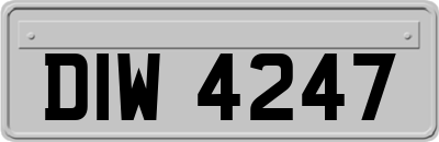 DIW4247
