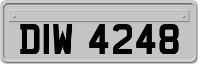 DIW4248