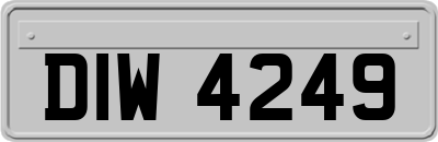 DIW4249