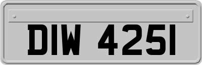 DIW4251