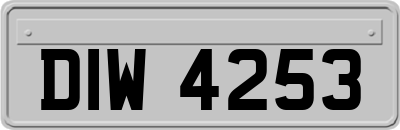 DIW4253