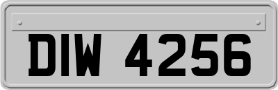 DIW4256