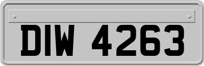 DIW4263