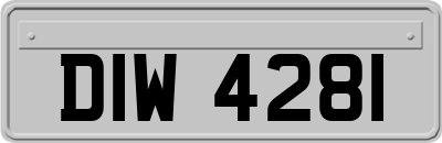 DIW4281
