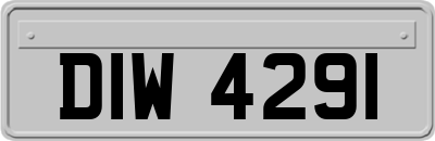 DIW4291