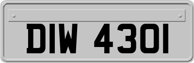 DIW4301