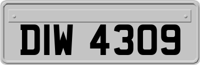 DIW4309