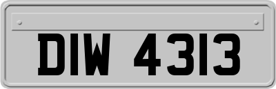DIW4313