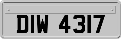 DIW4317