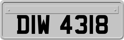 DIW4318
