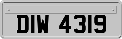 DIW4319