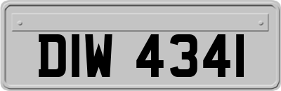 DIW4341