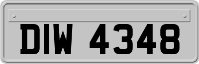 DIW4348