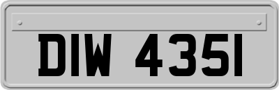 DIW4351