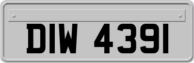 DIW4391