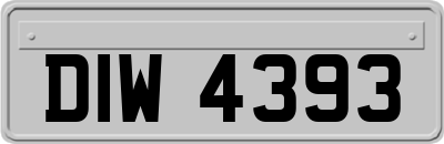 DIW4393