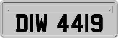 DIW4419