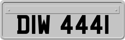 DIW4441