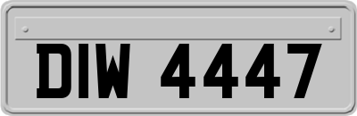 DIW4447
