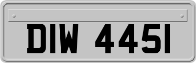 DIW4451