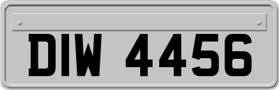 DIW4456