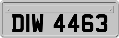 DIW4463