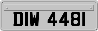 DIW4481