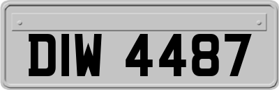 DIW4487