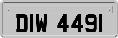 DIW4491