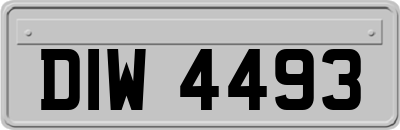DIW4493