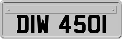 DIW4501
