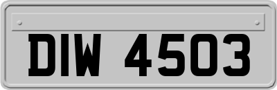 DIW4503