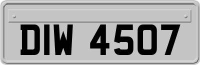 DIW4507