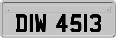 DIW4513