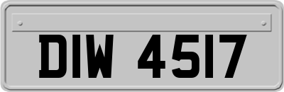 DIW4517