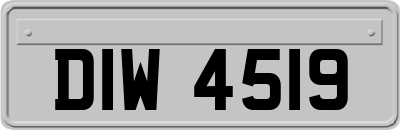 DIW4519