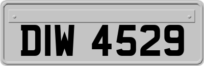 DIW4529